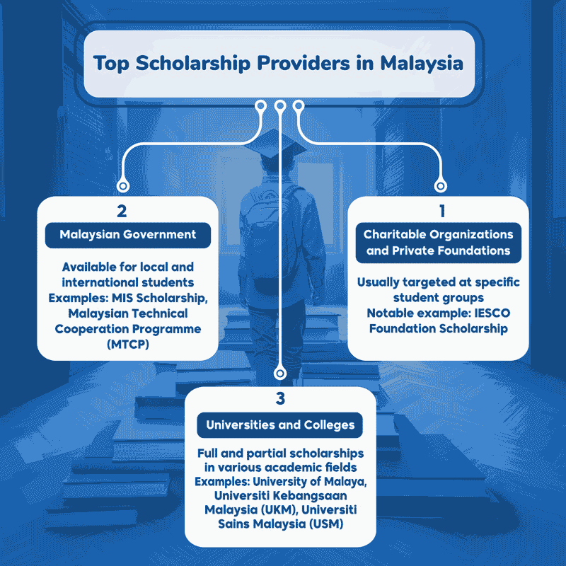 infographic of scholarship providers in malaysia