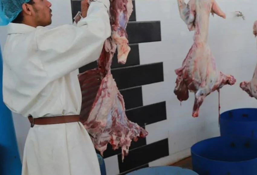qurban