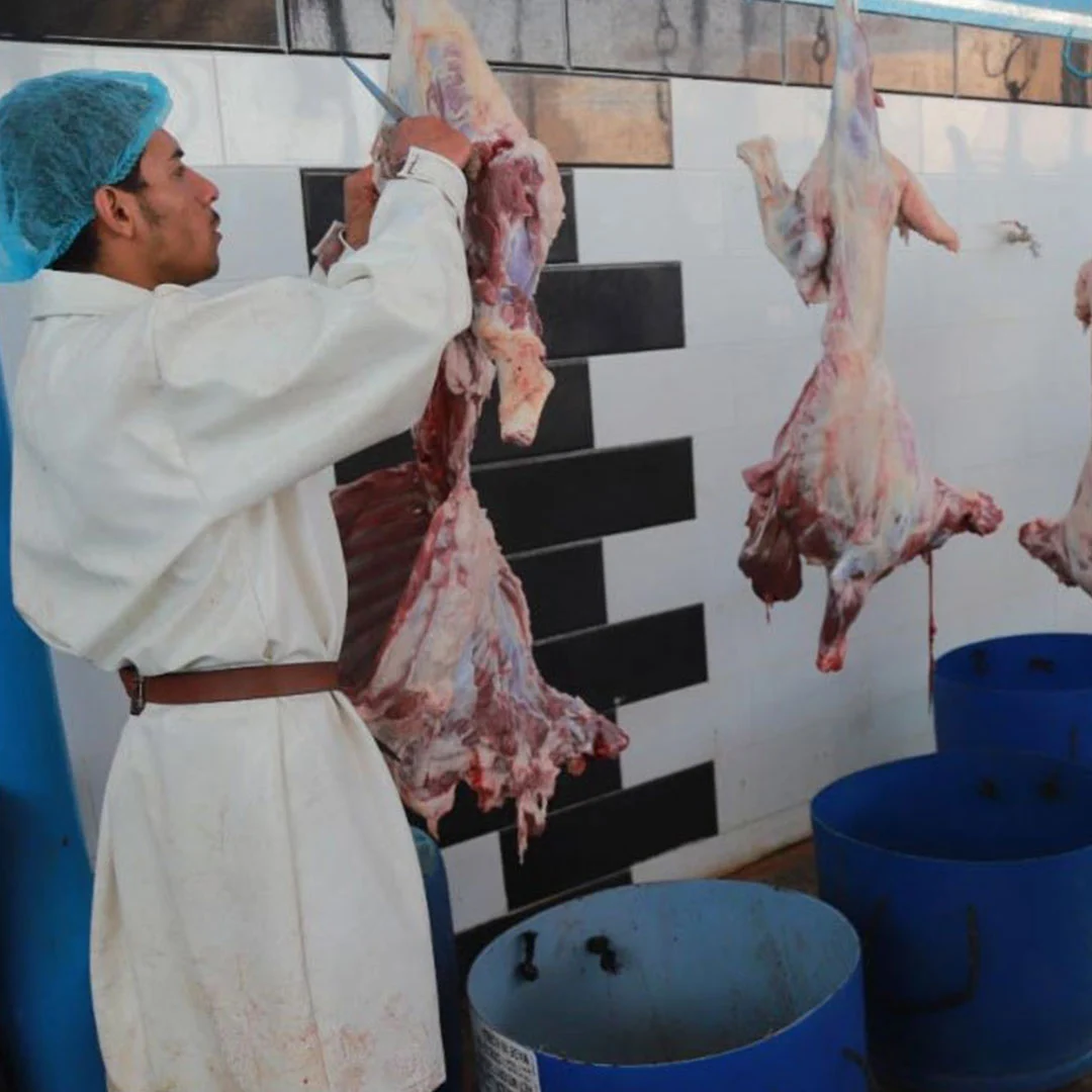 qurban